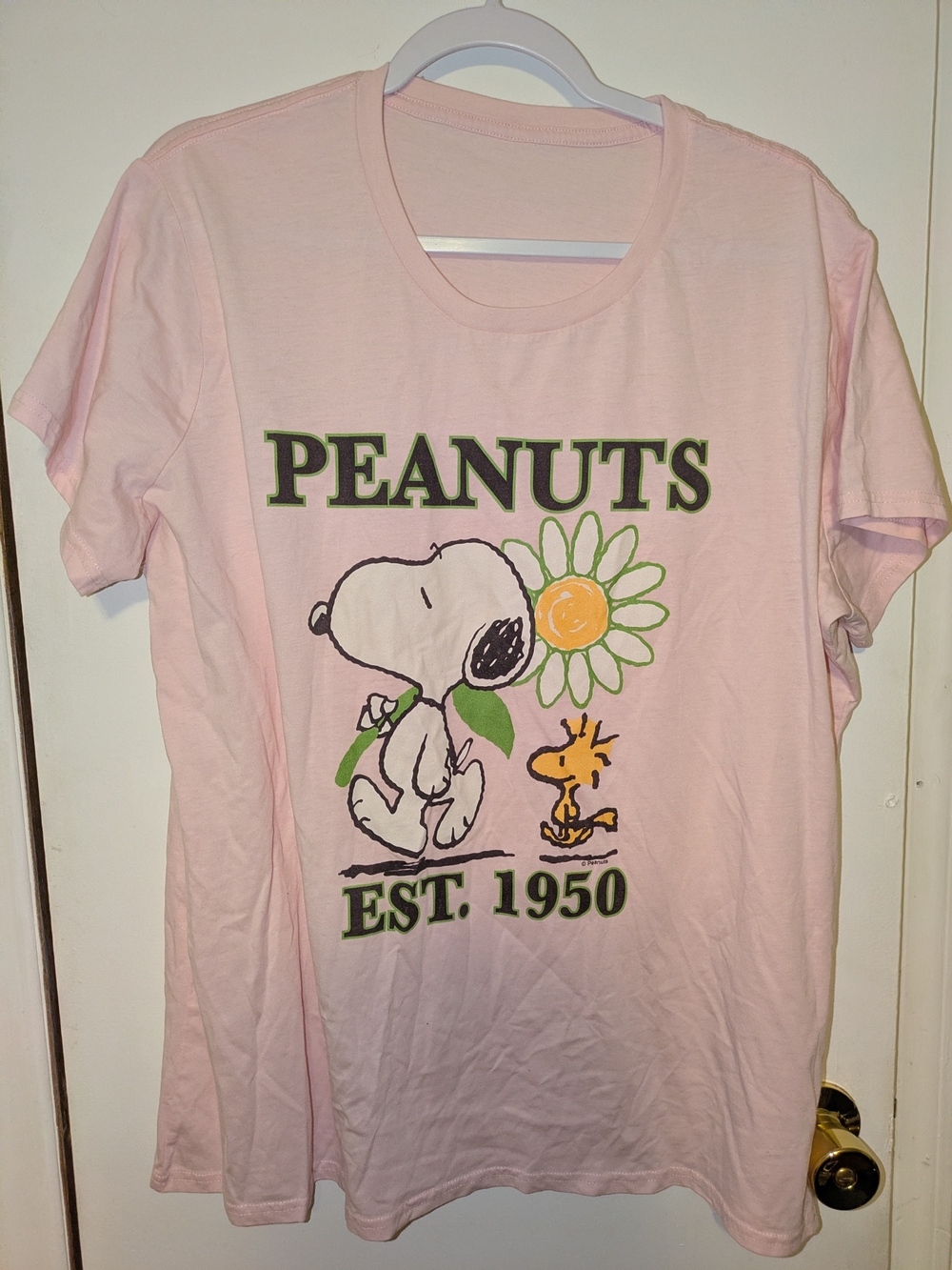 Peanuts Pink Snoopy & Woodstock Daisy Graphic Tee